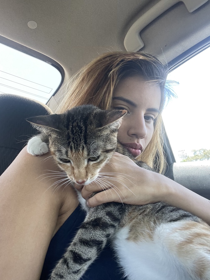 Are you a cat or dog person?