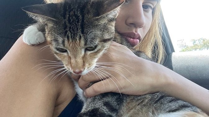 Are you a cat or dog person?