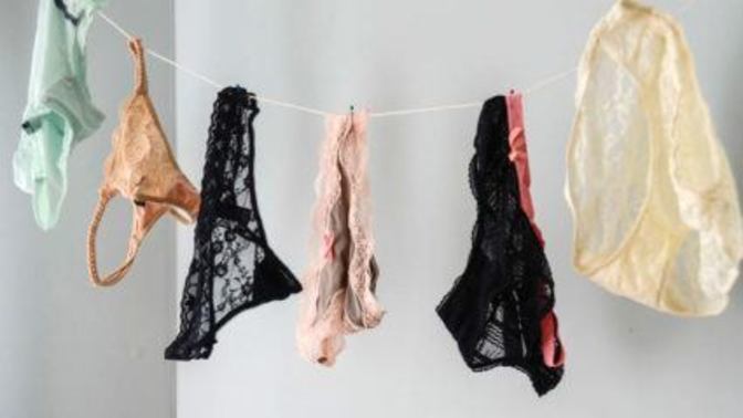 Girls, Which panties do you own? thongs... boy shorts... bikini... high cut... low cut?