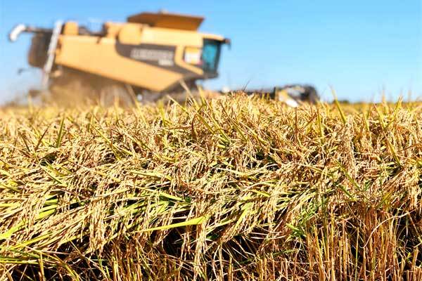 Are you worried about famine?