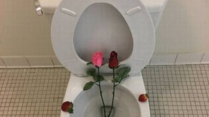 How often do you clean your toilet?