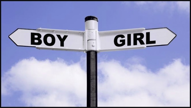 Do You Sometimes Think That Maybe Men and Women Should Just Go Their Own Separate Ways and Forget About Trying to Understand Each Other?