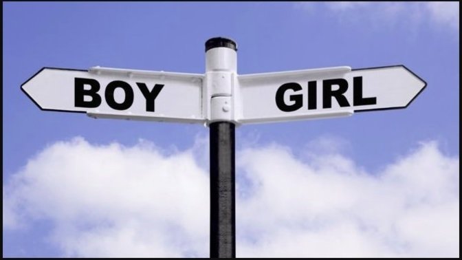 Do You Sometimes Think That Maybe Men and Women Should Just Go Their Own Separate Ways and Forget About Trying to Understand Each Other?