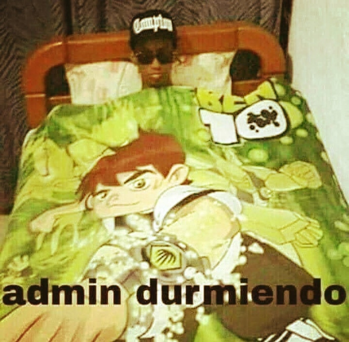 What do you think of my bed?