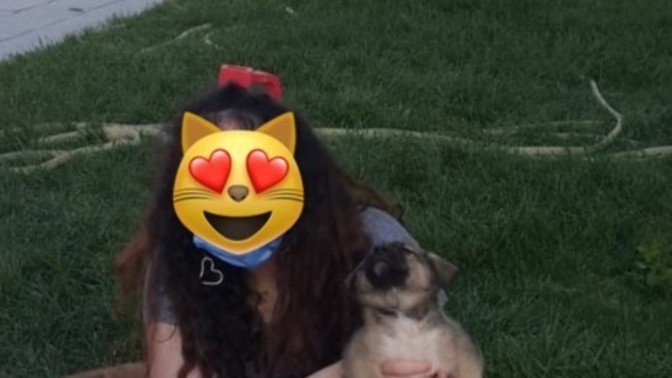 Are there any dog ​​mums/dads here?
