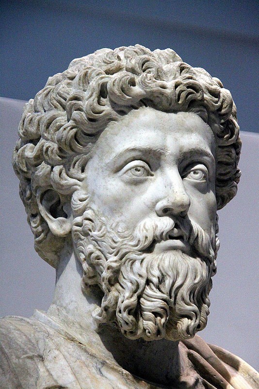Have you read Thoughts for myself by the Roman Emperor Marcus Aurelius, and what did you think of it?