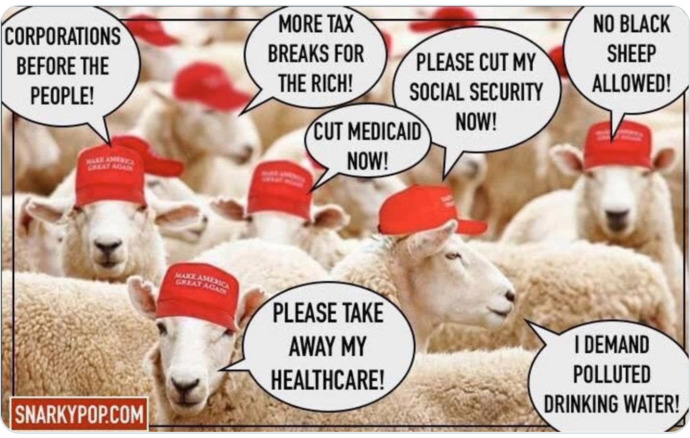How would you react if you heard someone say that the right are hypocrites?