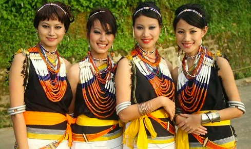 north-east[nagaland, mizoram, assam, meghalaya]