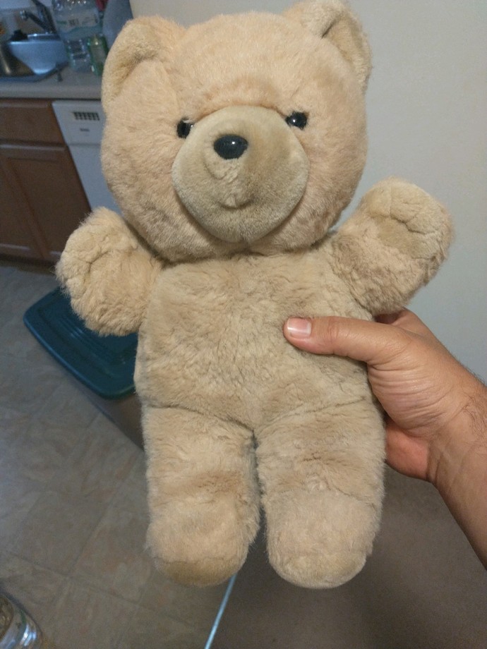 Did you have a teddy bear when you were a baby?
