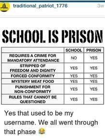 To all fellow adults, do you miss going to high school and to all high school students, are you enjoying high school?