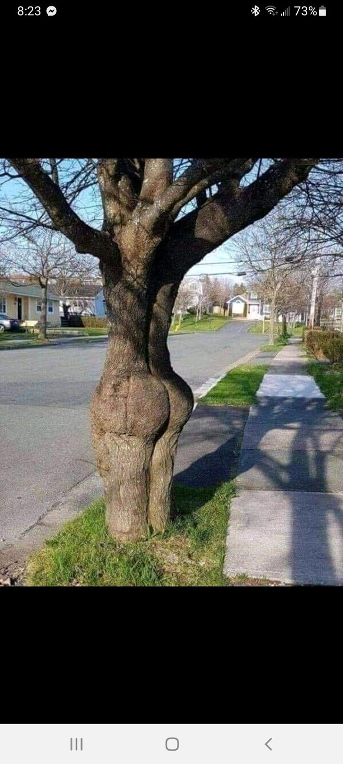 Is it OK to slap this when you walk by? ?