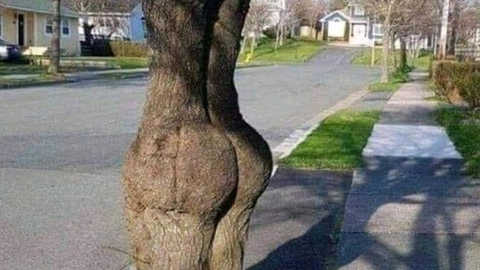 Is it OK to slap this when you walk by? ?