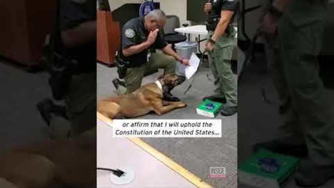 How is this cute or moral in modern society?