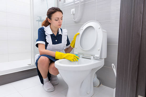 How do you CLEAN the TOILET?