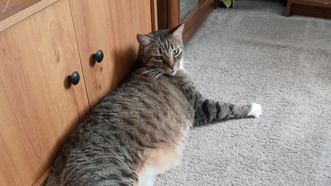 How long are your naps usually?