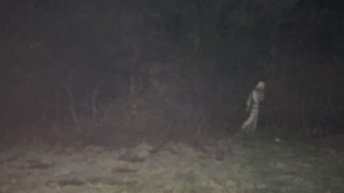 Did I capture a ghost in my grandmas garden?