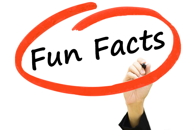 What is a fun or weird fact that you know, which is 100% true?