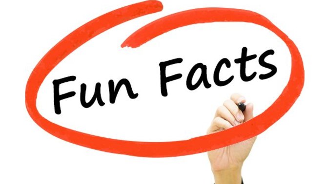 What is a fun or weird fact that you know, which is 100% true?