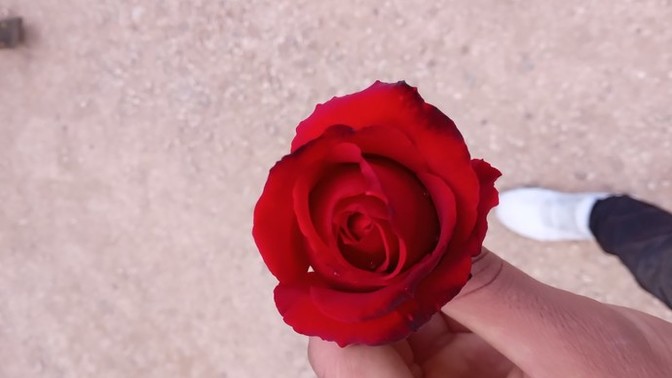 I'm 25, and I've never fallen in love. Is this normal?