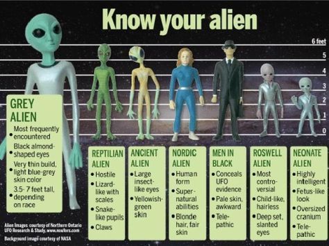 Do you really think it is possible that aliens have bred with humans as some have said?