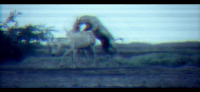 Did anyone notice the animals mating in the music video for Katy Perry ET?