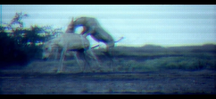 Did anyone notice the animals mating in the music video for Katy Perry ET?