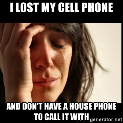 If you lost or had your phone stolen and you could have either the phone back with no data or the data back but no phone, which one would you choose?