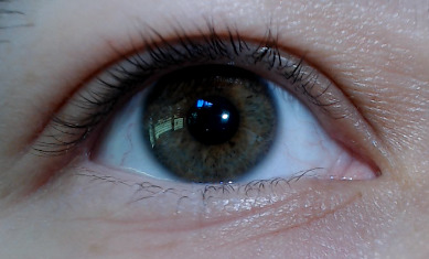 left eye