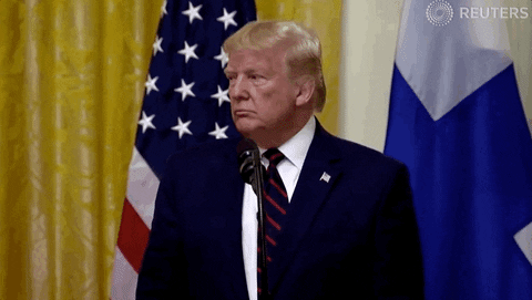 White people, if you were born in a 3rd world country (like Sweden), would you scale Trump's wall to get into America if you had no other choice?