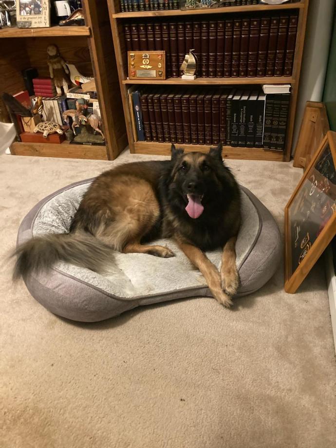 What's the last thing that made you smile?