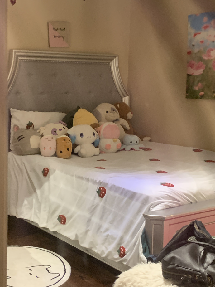 What do you guys think of my new bed cover?