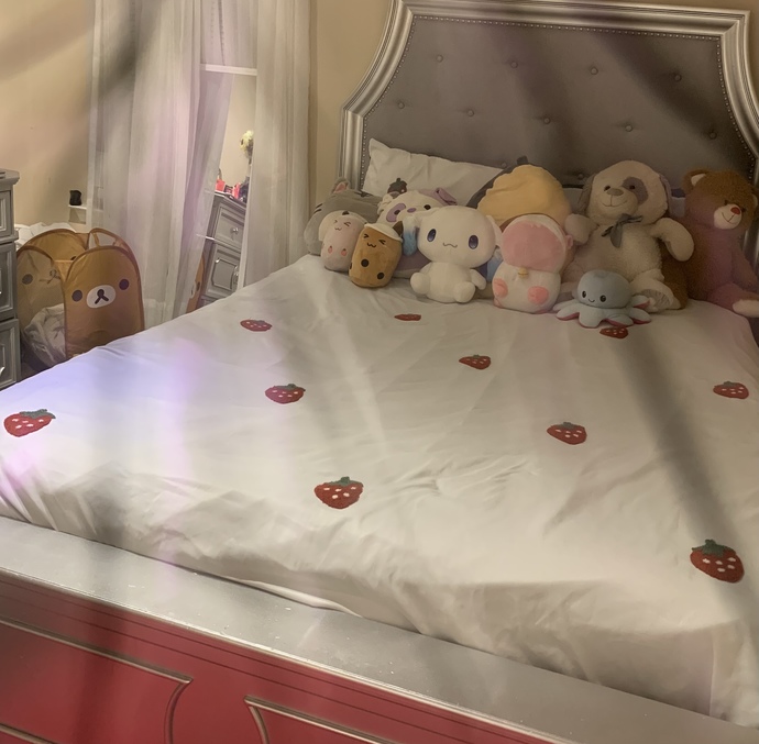 What do you guys think of my new bed cover?