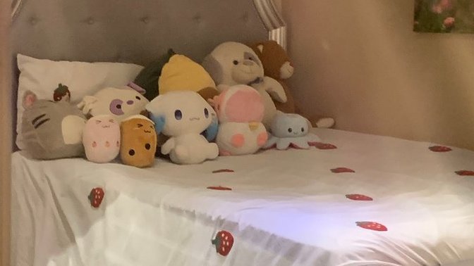 What do you guys think of my new bed cover?