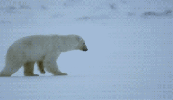 Are you good at breaking the ice…?