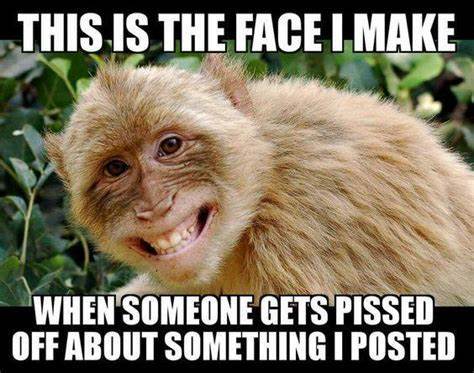 Are you afraid of monkey pox?