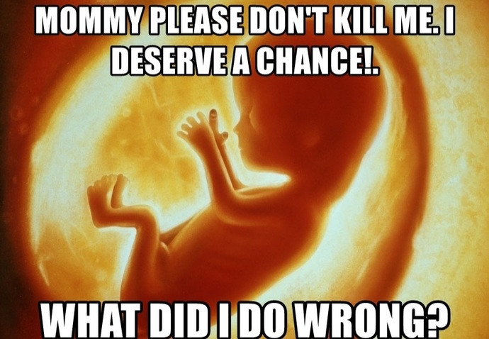 Do you understand what happens in an abortion?