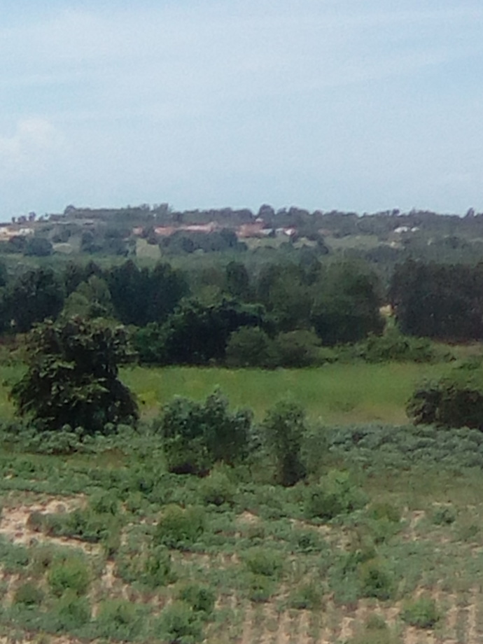 How's the view from your home?