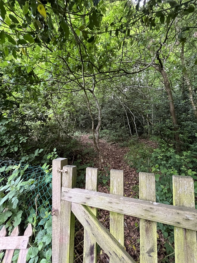 Back gate this morning 