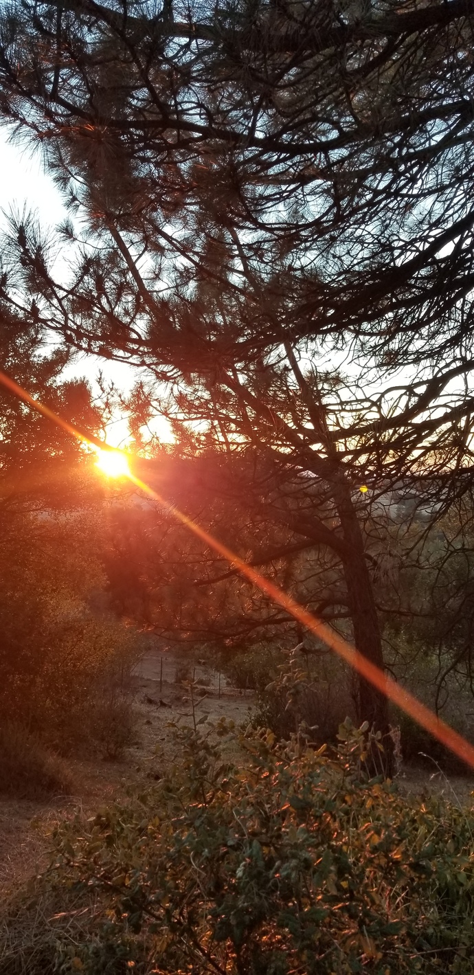 How's the view from your home?
