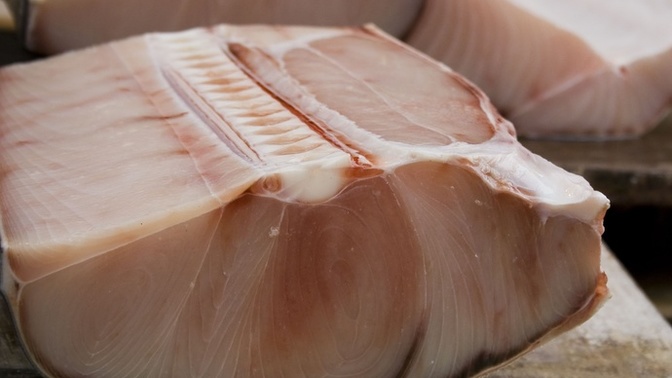 Do you think it’s unethical to eat shark?