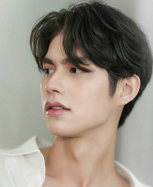 Girls, Do you like Far Eastern (Korean, Japanese, Chinese, Thai etc.) boys?