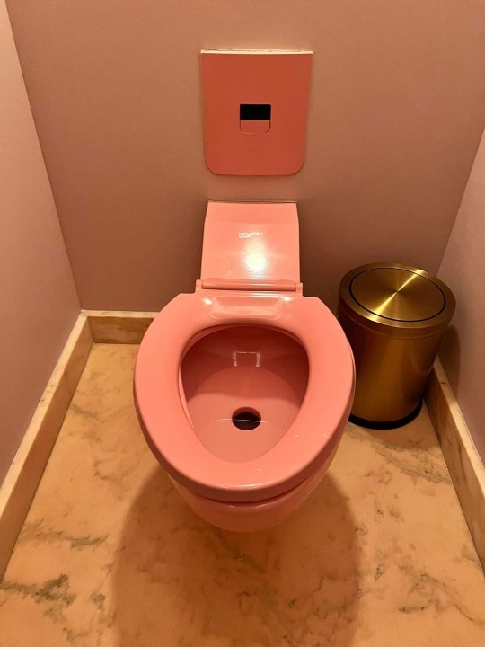Is this toilet pink or orange?