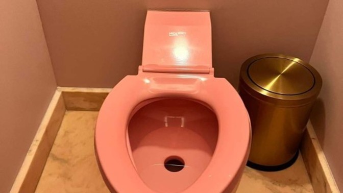 Is this toilet pink or orange?