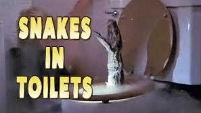 You go to the bathroom and see this , what do you do?