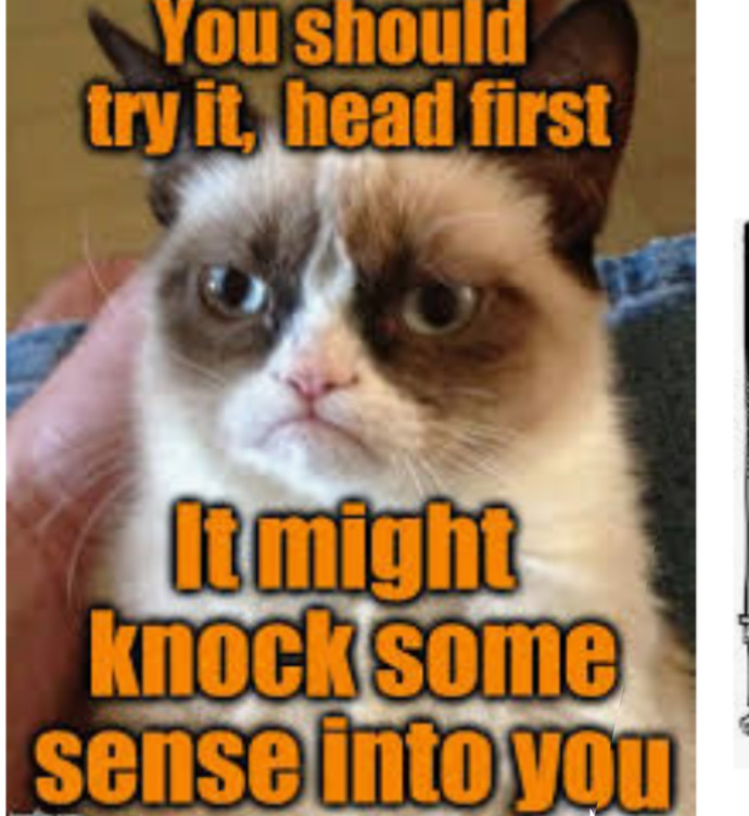 Have you ever had the urge to shake some sense into someone/people?