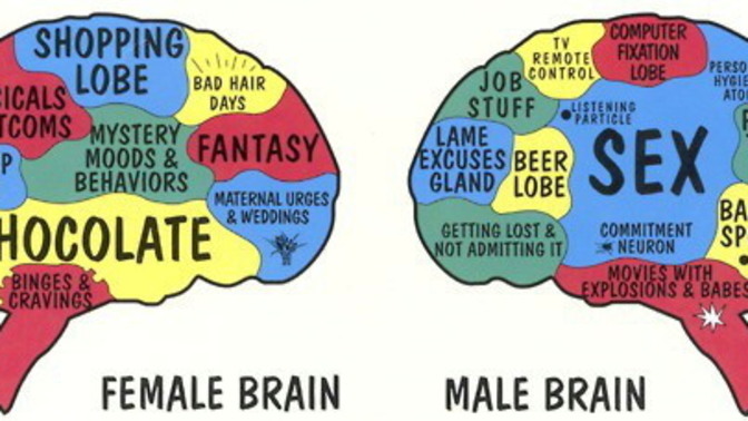 How different are men's and women's brains?