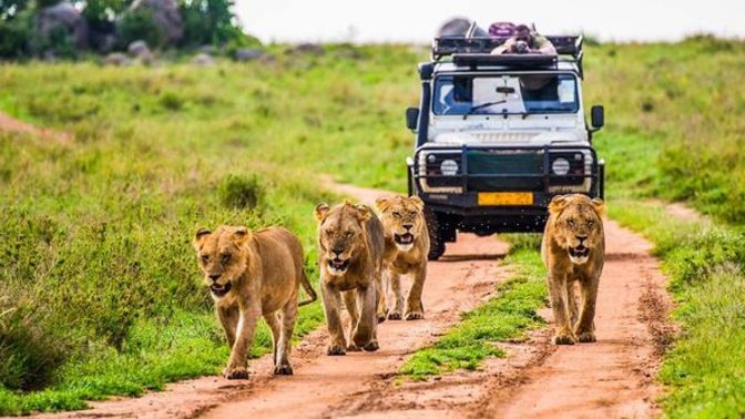 Which would you rather do in your travels?