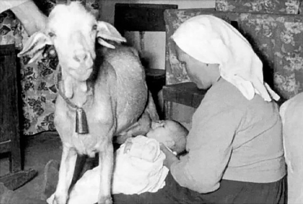 There is a baby formula shortage. Would you be open to letting your baby suckle from a stranger's bosom in an emergency?