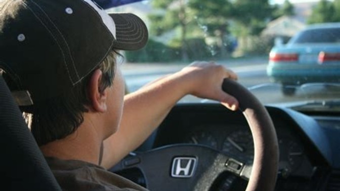 Are you more a car driver or public transport user?