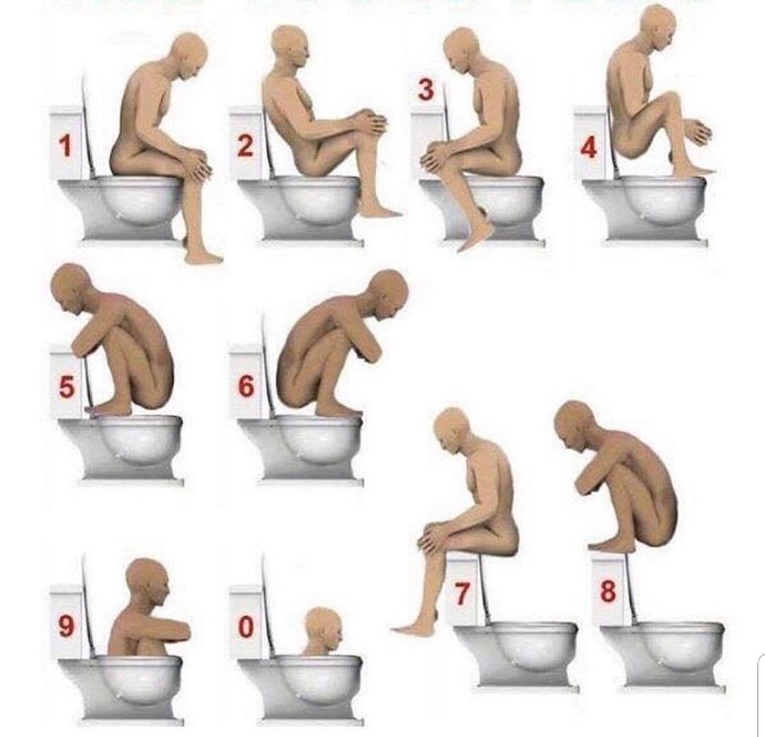 Which position do you use the toilet in?